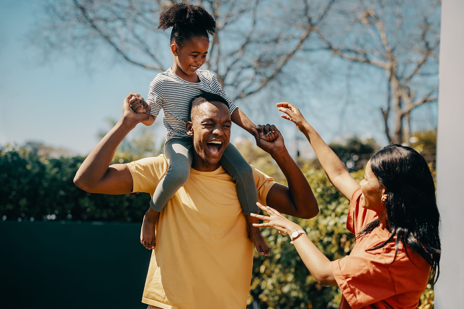 Letting Your Property